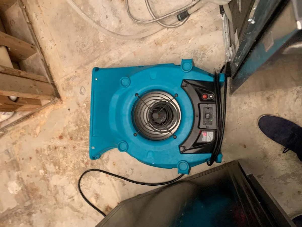 Air mover drying equipment for Mold Remediation & Removal in Innsbrook